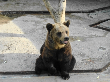 photo 920764
