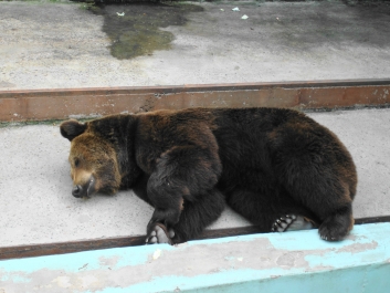 photo 920766