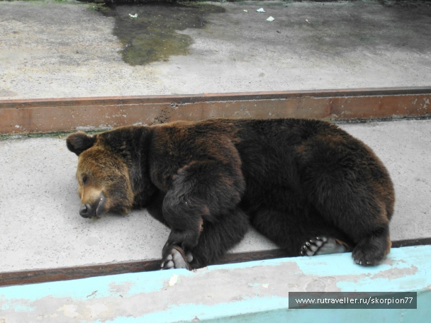 photo 920766