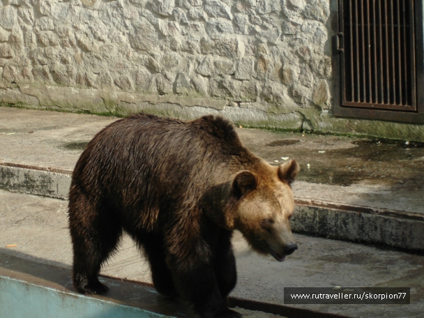 photo 920767
