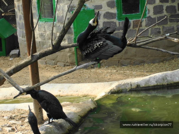photo 920771
