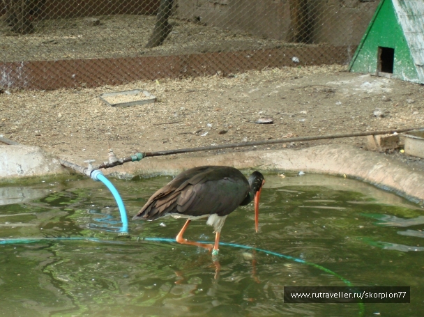 photo 920772