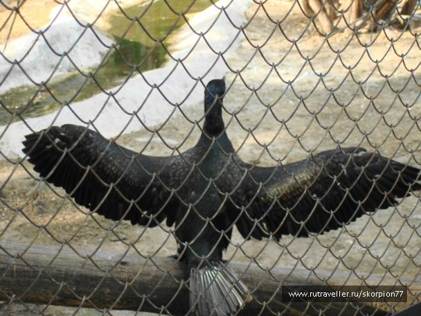 photo 920774