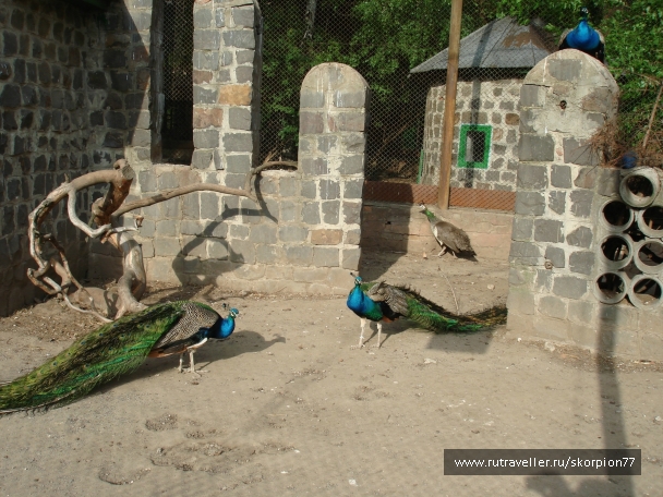 photo 920776