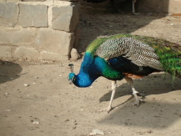photo 920777
