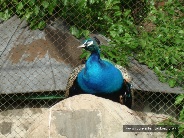 photo 920778