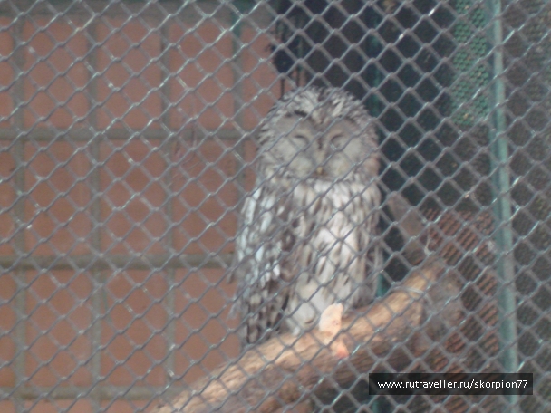 photo 920780