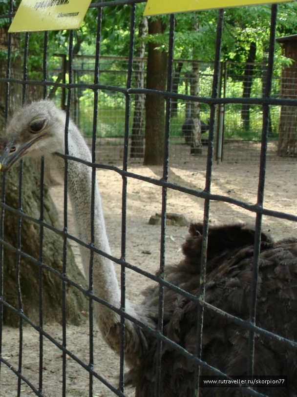 photo 920784