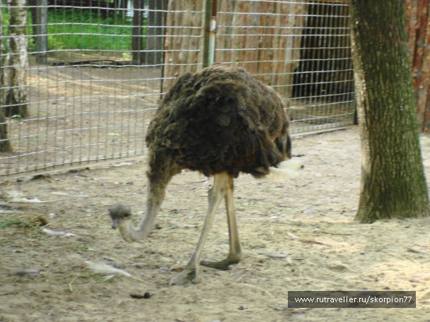 photo 920785