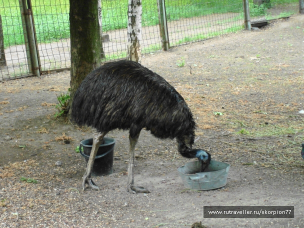 photo 920786