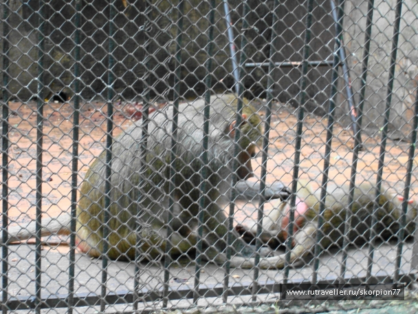 photo 920788