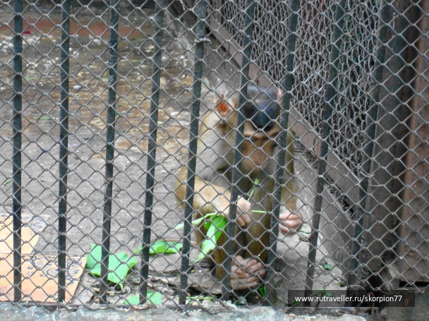 photo 920789