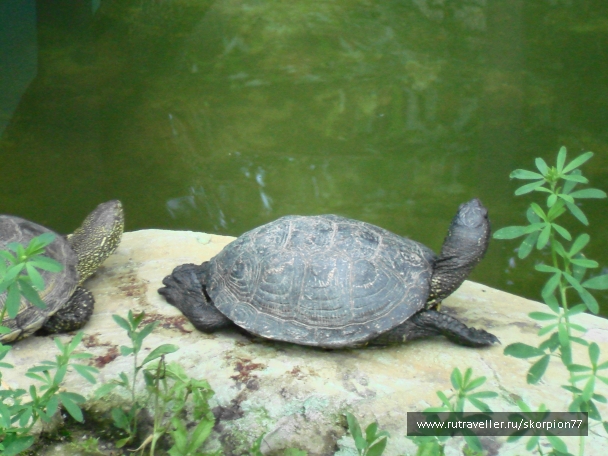 photo 920790