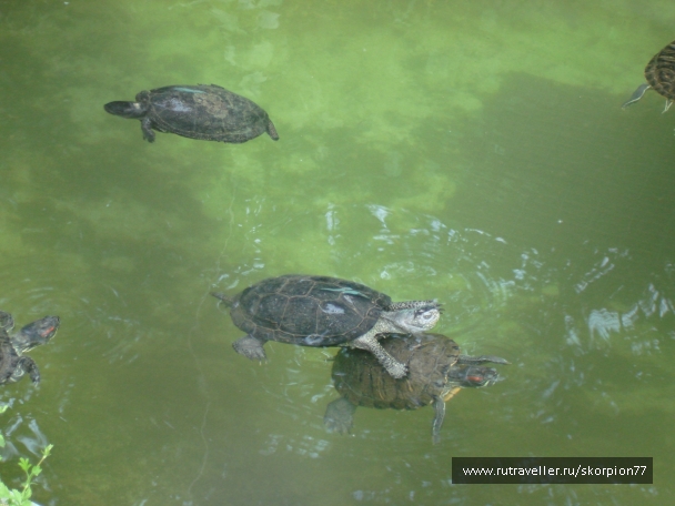 photo 920791
