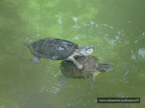 photo 920792