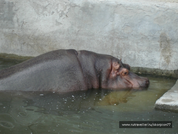 photo 920793