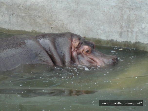photo 920795