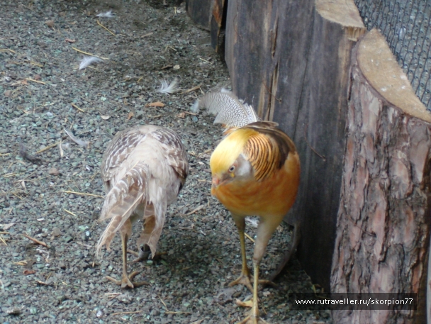 photo 920798