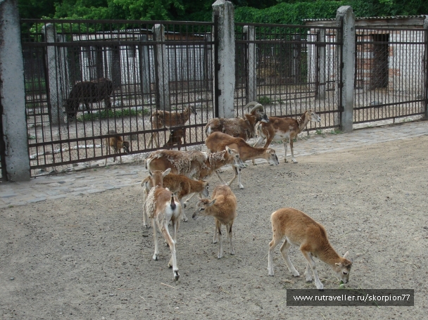 photo 920805