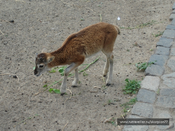 photo 920806