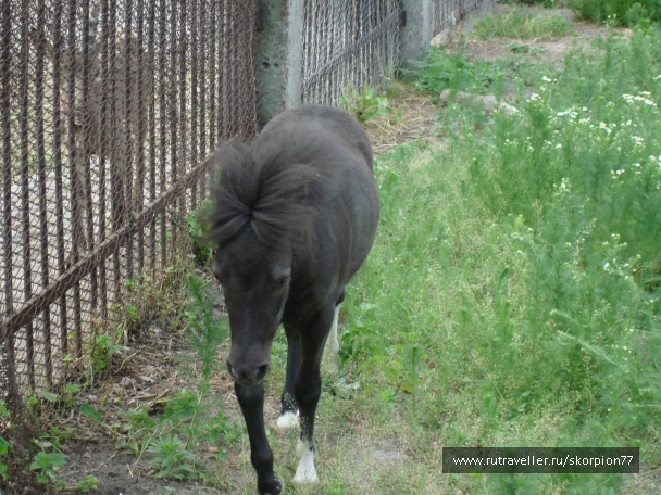 photo 920809
