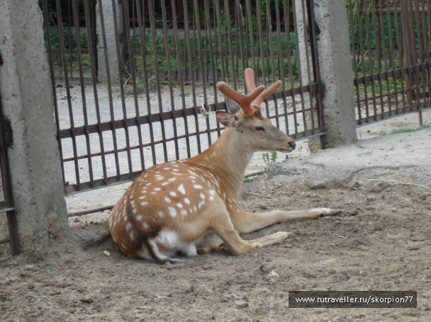 photo 920811