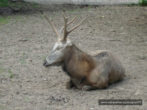 photo 920812