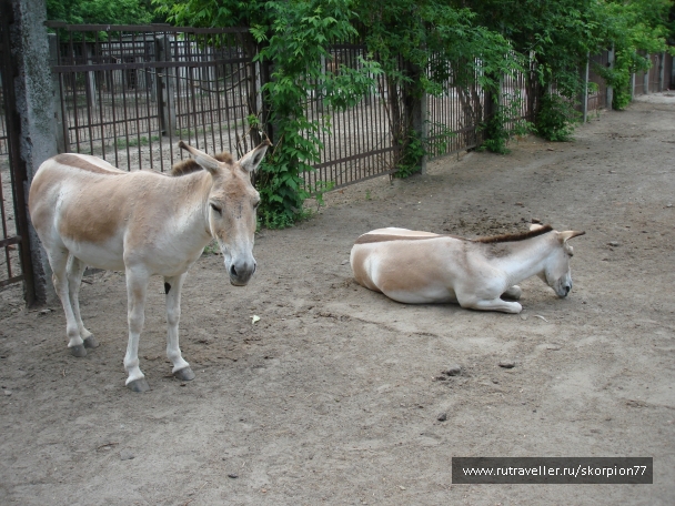 photo 920813