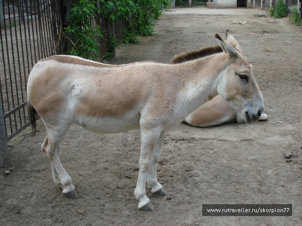 photo 920814