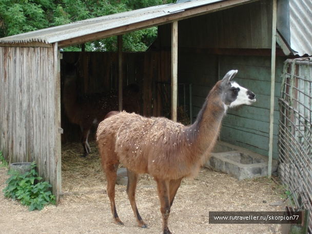photo 920815