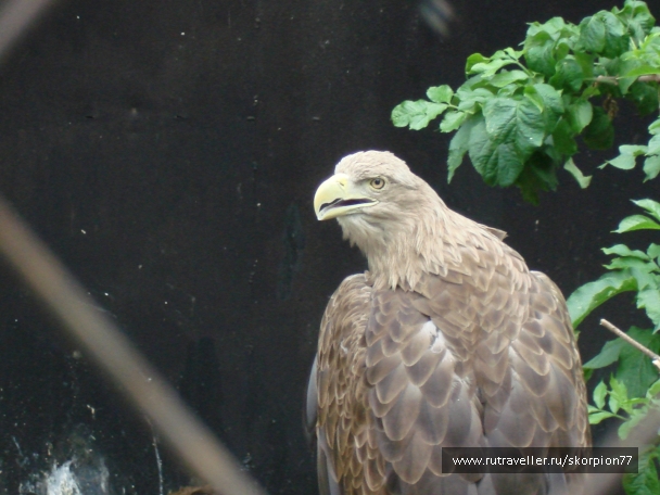 photo 920816