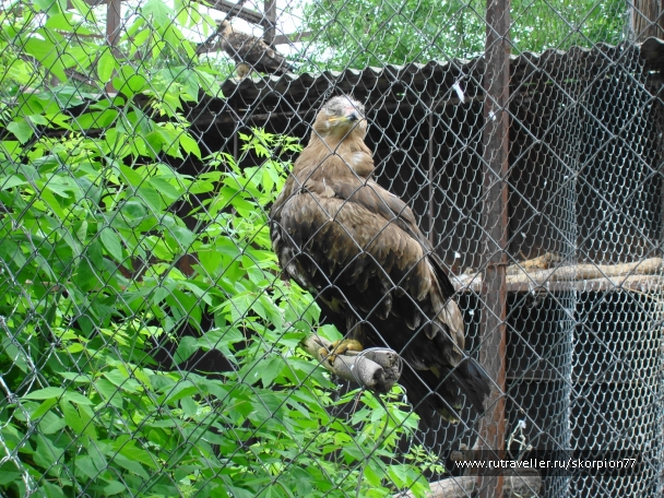 photo 920817