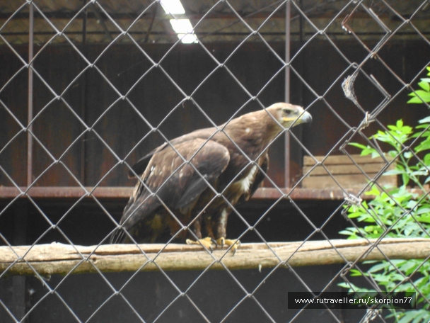 photo 920818
