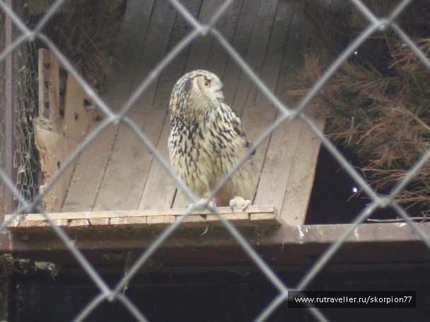 photo 920822