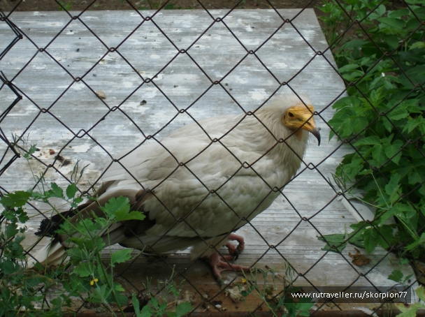 photo 920824
