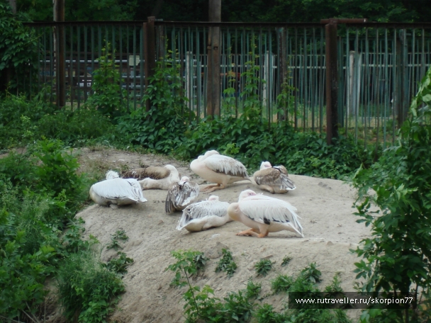 photo 920831