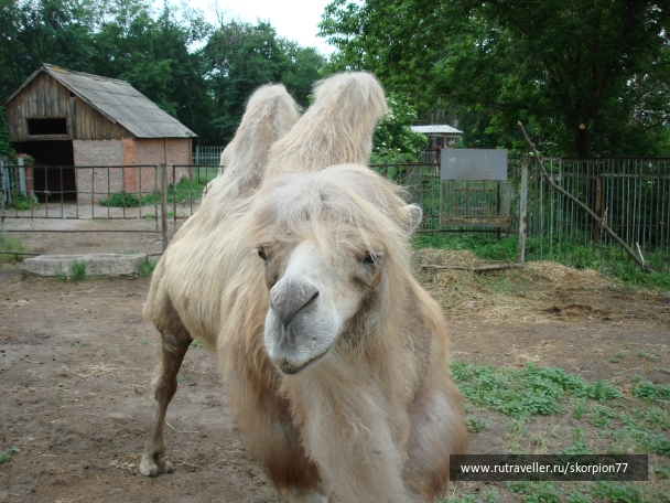 photo 920835