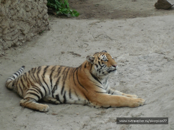 photo 920837
