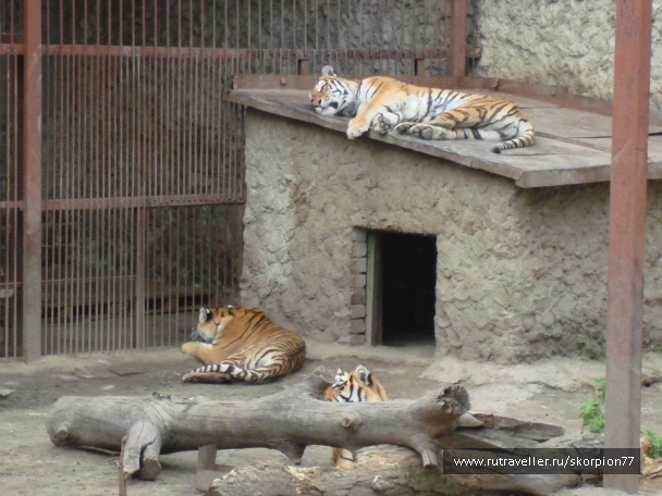 photo 920838