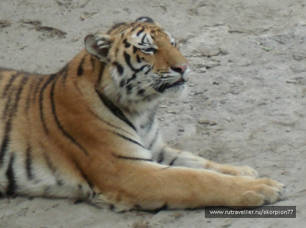 photo 920840