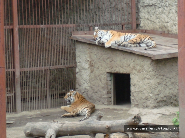 photo 920841