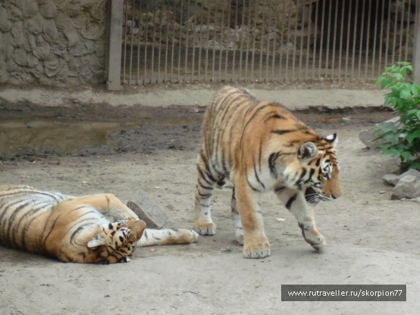 photo 920844
