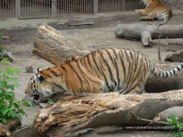 photo 920847
