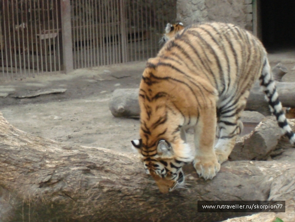 photo 920848