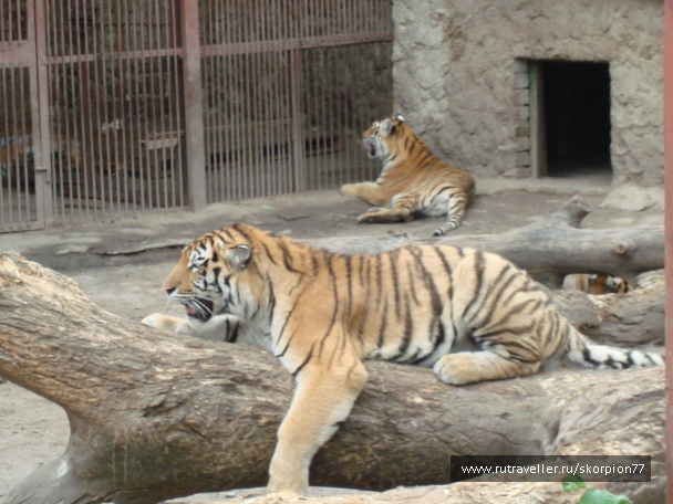photo 920849