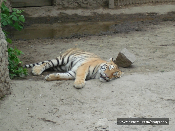 photo 920850