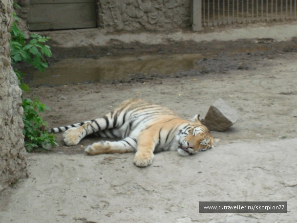 photo 920851