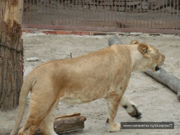 photo 920852