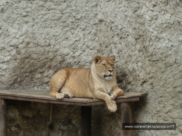 photo 920853