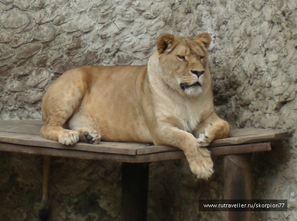 photo 920854